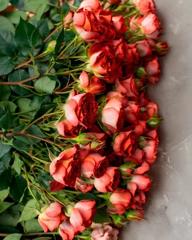 @mattflorist stepped into our greenhouse, and turned florals into poetry.✨😍

Ge