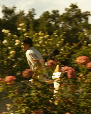 Among the roses 🥀 
tell me your favorite :)