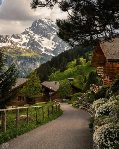 📸 Beautiful Switzerland in Pictures 🇨🇭
This is my new Profile the Photography