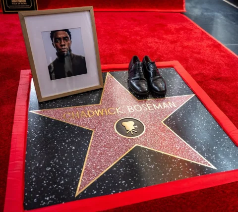 2828 #chadwickforever 

@hwdwalkoffame @variety

📸 @imagerybyoscar