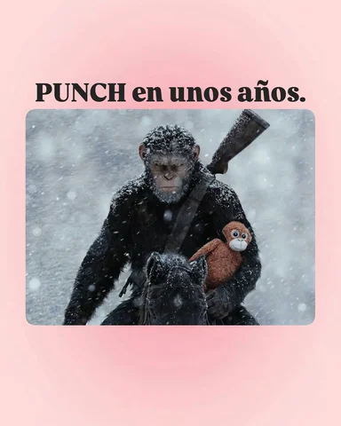 No puedo más con la historia de Punch🙈❤️‍🩹

Por si no lo viste, Punch es un mo