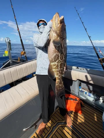 Só nave 🏆🎣🇧🇷🥷🏻