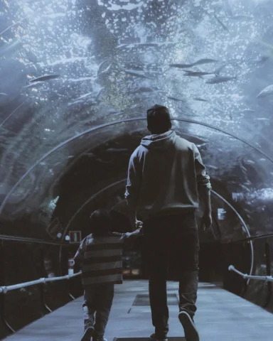 Hemos ido a ver tiburones y peces al Aquarium 😙 A Oli le ha hecho mucha ilusión