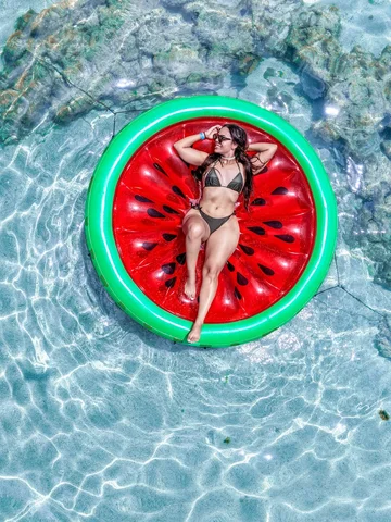 🦞🐬