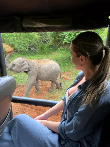 pov: you get to live out your wildest dreams #safari #srilanka