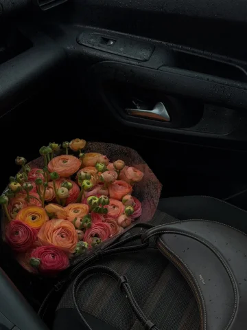 ranunculus 🌸