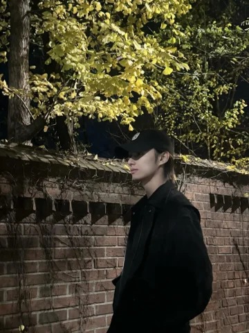 🍂