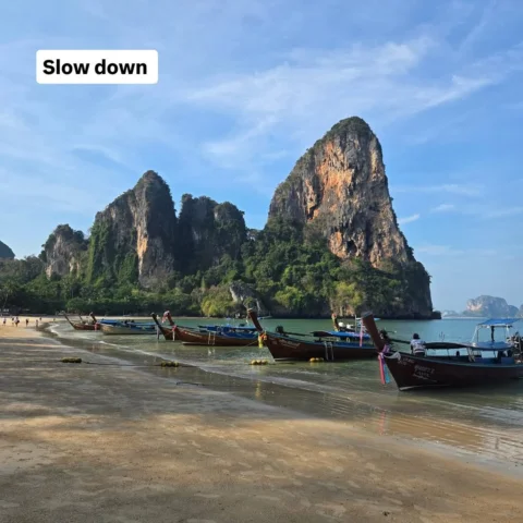 Been here three days with minimal noise.
And honestly, my head is clearer than i