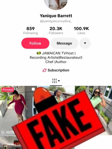 Someone has started a TikTok page using my Instagram content- and that page is N