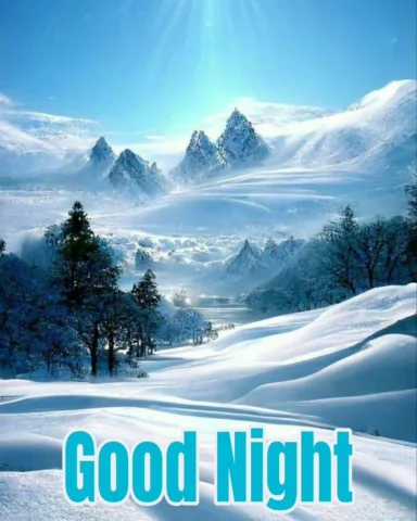 Good Night 😴
