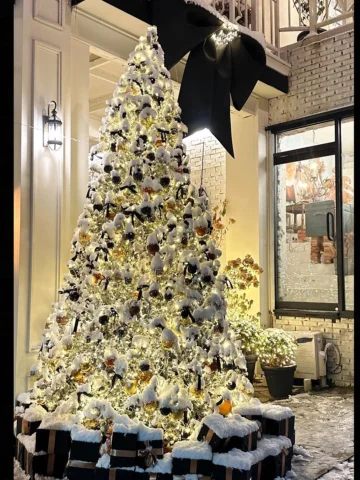Christmas is coming~