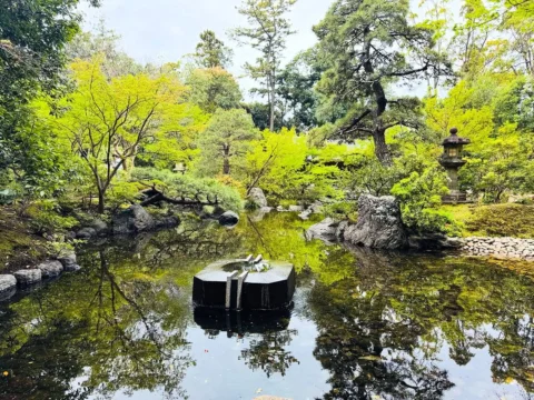 なんて美しい緑

@寒川神社