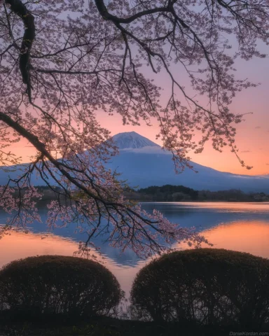 Japan has been one of my favorite countries to explore and photograph for many y