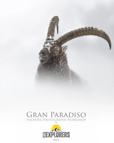 Want to photograph with me in the Italian Alps? 🗻🦅

In one month I’ll be in th