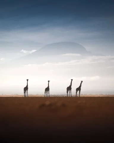 “Mirage”

On the dry lake near Amboseli, your eyes drift into the distance, for 
