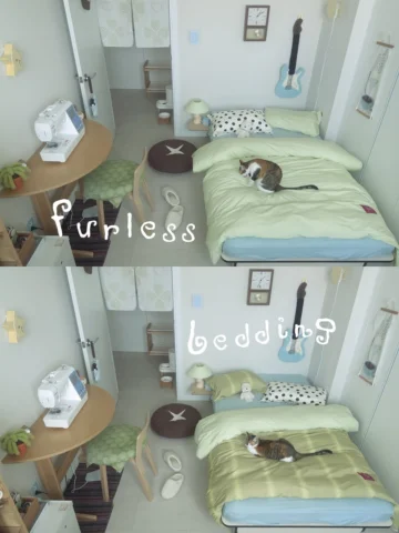 호두와 함께 써도 마음이 편한 침구 𓂃 🛌 #광고

댄스온더플로어 퍼리스 이불커버는 반려동물 털이 박히거나 달라붙지 않는 퍼리스 원단으로 만