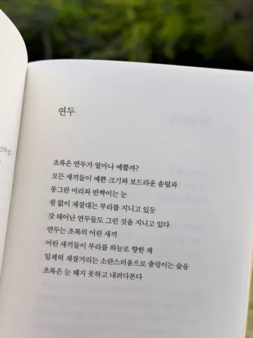 이번 주 내내 계속 머릿속을 맴도는 참 귀엽고 예쁜 시. 연두 - 도종환 🌱💚