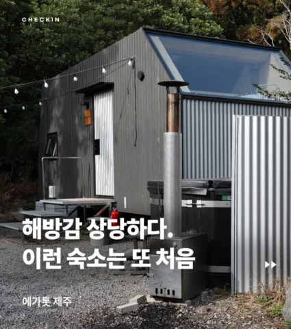나체로 숲속에 서 있는 기분이었다. 알 수 없는 해방감이 밀려왔고, 그 감각은 꽤 생경했다. 쉽게 잊히지 않을 경험이었다.
 우리나라에도 이런 