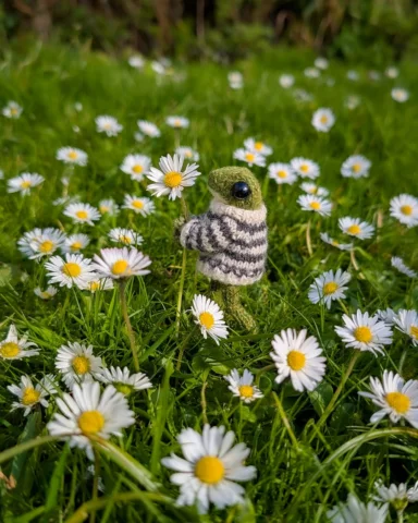 Frog admiring a patch of daisies in the spring sunshine 🐸🌼

If you'd like to k