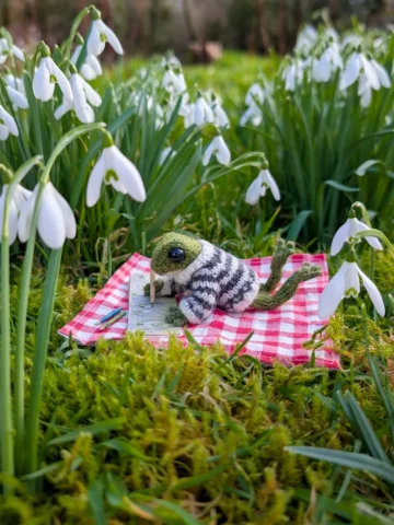 Frog sketching the snowdrops ✏️🌱