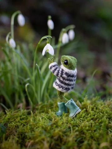 Frog greets the first snowdrops 🌱 

Snowdrops are beginning to pop up ✨ Their d
