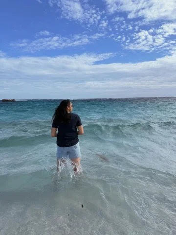 ⛱️🏖️🐚