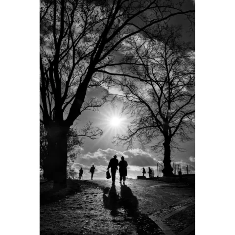 Silhouette series 👥