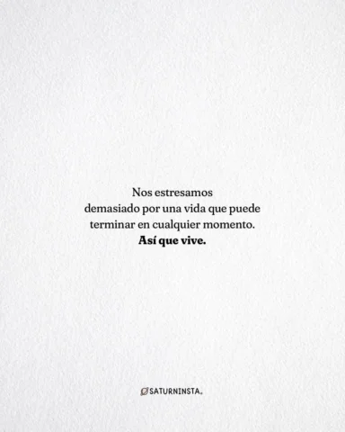 VIVE✨