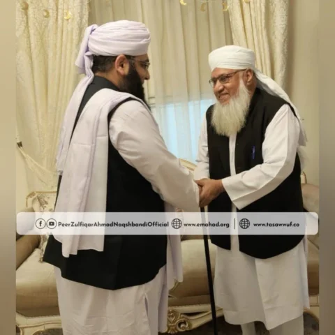 محبوبُ العلماء والصلحاء، حضرت مولانا حافظ پیر ذوالفقار احمد نقشبندی مجددی نورُ ا