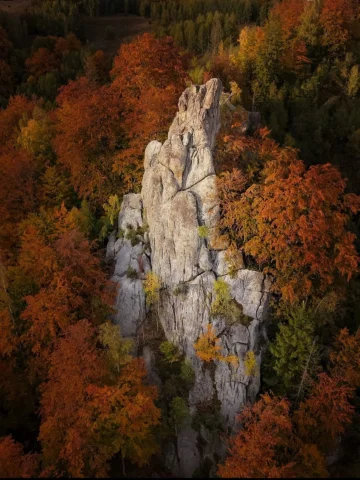 The Carpathians in yellow.