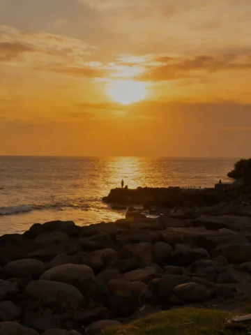 🌅🌕
