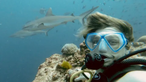 Sharks I’m asking for 0% of my company to be eaten
