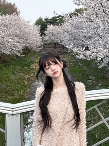 벚꽃 이제 정말 마지막인거지? (╥﹏╥)