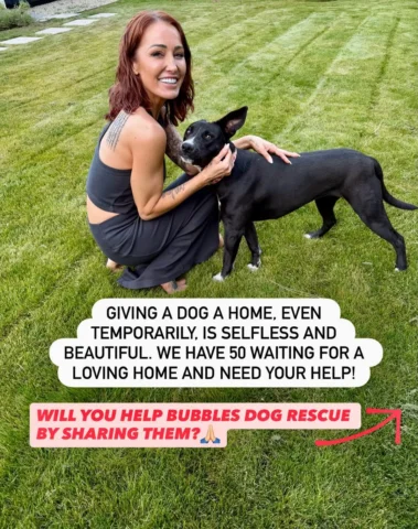 @bubblesdogrescue saves dogs from euth lists, abuse cases, and street dogs. 🥹We