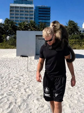 Monkeys and art
