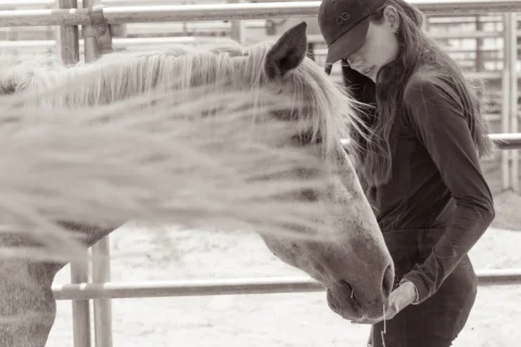Every life holds the promise of a second chapter.

A few years ago, The Wild Bea