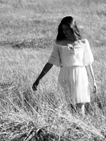 ✨🌾