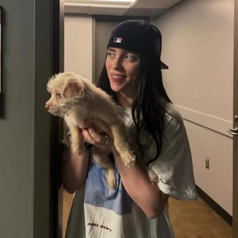 Woof

#billieeilish