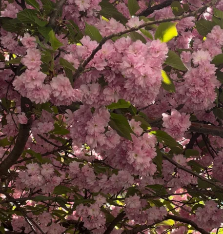 Happy Earth Day!