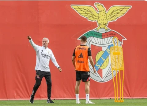 @slbenfica