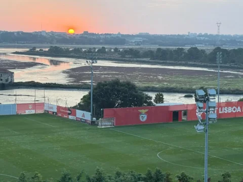 BOM DIA @slbenfica