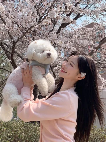 가족들이랑 주말 힐링 충전 완료오 🌸💗🪽