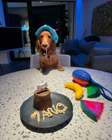 Betinho faz 1 ano 💙