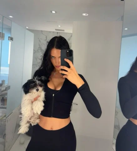 New 😍paws in the house… 🐾