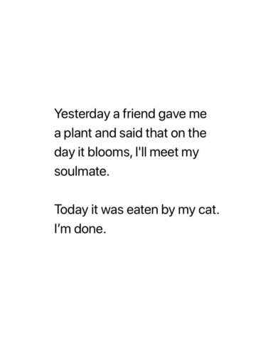 Omg 😂