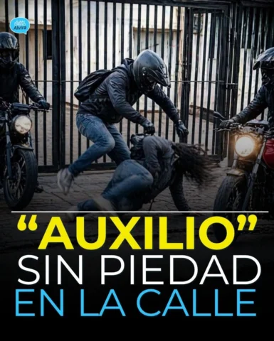 El más reciente informe del Observatorio de Seguridad de la Alcaldía de Bogotá n