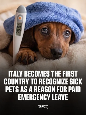 Italy became one of the first countries to recognize caring for a sick pet as a 
