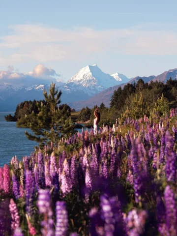 Lupine season in New Zealand is truly MAGICAL 🇳🇿🪻✨

.
.
.
#newzealand #southi