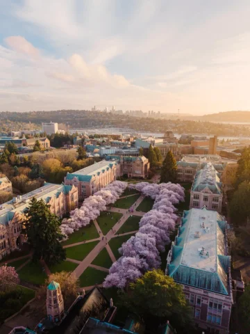 Seattle during cherry blossom season is unreal.. 🌸💘

📍University of Washingto