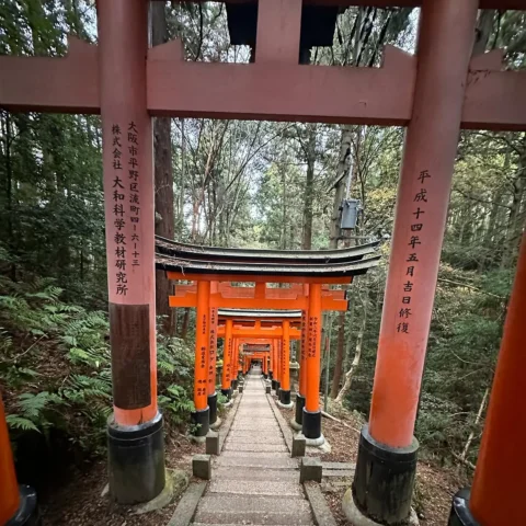 Land of the rising sun .. 🗾🇯🇵🏯🎎🌅